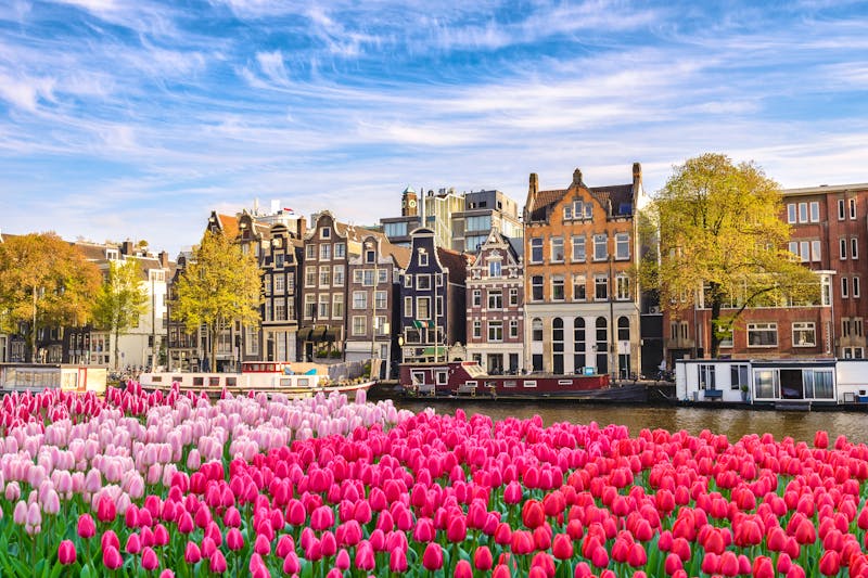 Tulpen in Amsterdam - ©©Noppasinw - stock.adobe.com