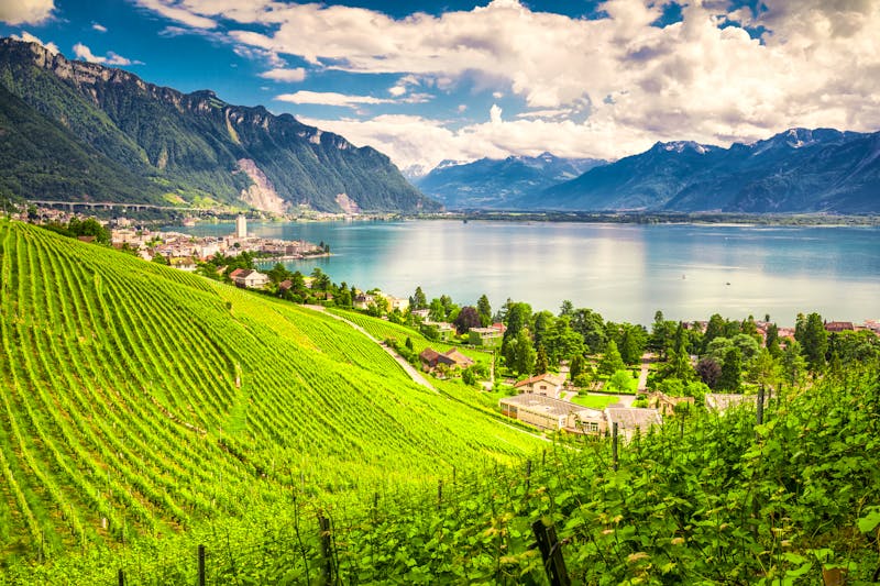 Weinberge am Kurort Montreux am Genfer See - Schweiz - ©Eva Bocek - stock.adobe.com