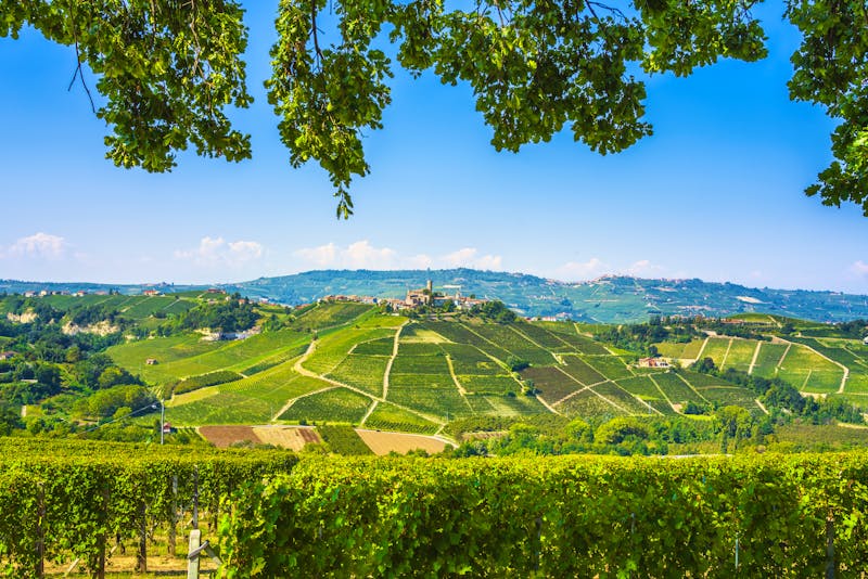 Weinbau im Piemont - ©stevanzz - stock.adobe.com