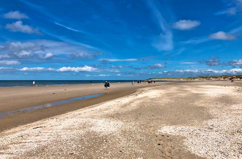 Wanderung auf der Nordsee-Insel Föhr - ©Eberhardt TRAVEL - Diana Mendel