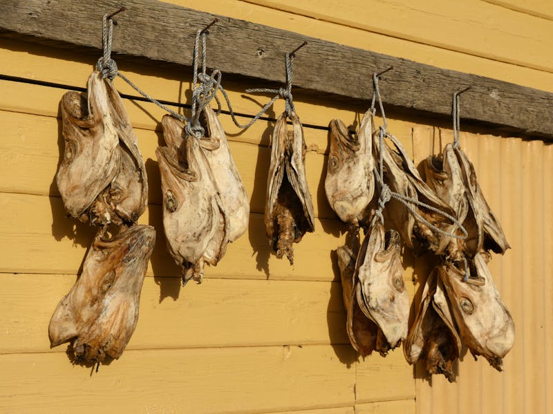 Stockfisch an einer Hütte im Norden von Island - ©Dagmar Richardt - stock.adobe.com