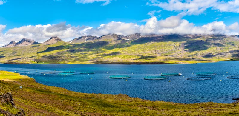 Lachsfarm in Island - ©sasha64f - stock.adobe.com