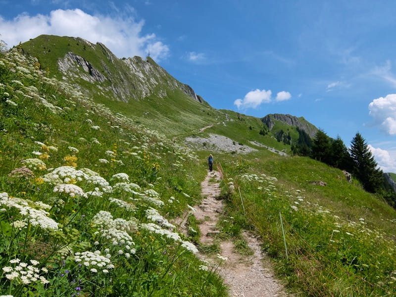 Wanderung am Rochers de Naye - ©Eberhardt TRAVEL - Peter Großer