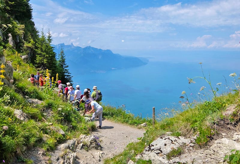 Wanderung am Rochers de Naye am Genfer See - ©Eberhardt TRAVEL - Peter Großer