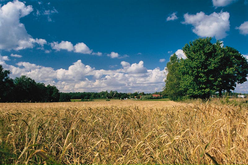 Masuren - Polen - ©Travel Projekt Polen