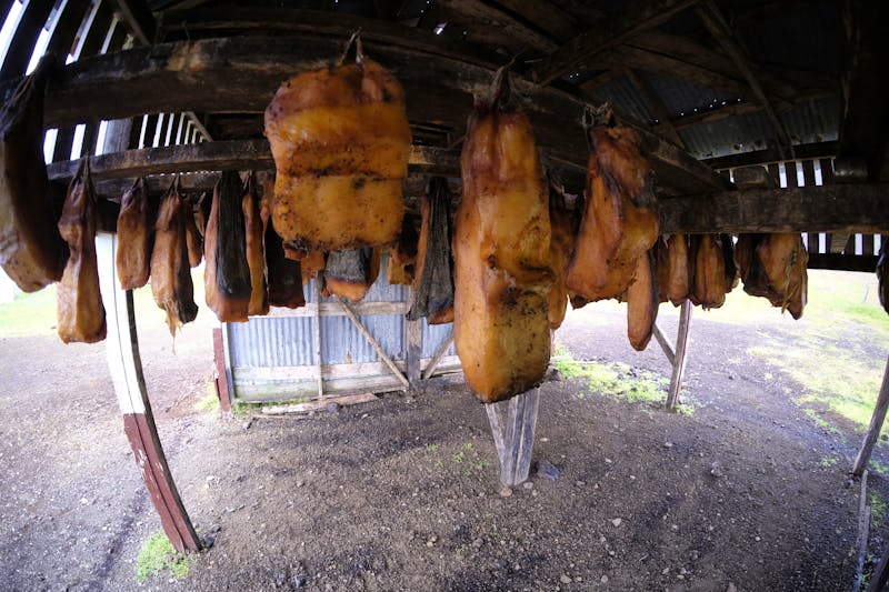 Isländischen Spezialität Hakarl in Bjarnarhöfn - ©Tobias Seeliger - stock.adobe.com