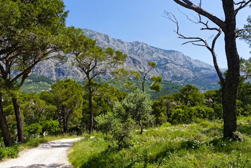 Wanderweg im Biokovo-Gebirge bei Makarska  &ndash; &copy; ©Uwalthie Pic Project - stock.adobe.com