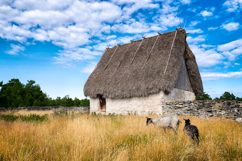 Landidylle auf der Insel Gotland - ©©Crin - stock.adobe.com