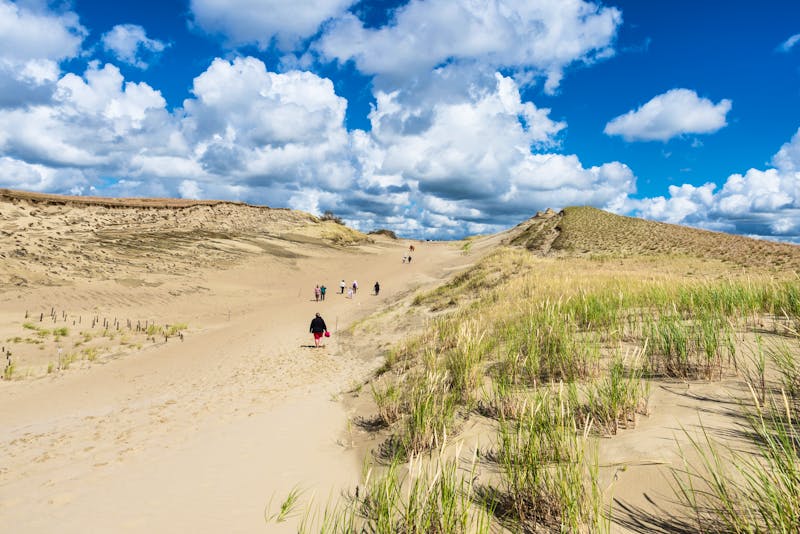 Große Düne an der Kurischen Nehrung bei Nidden - ©majonit - stock.adobe.com