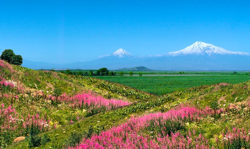 Armenien - Blick zum Berg Ararat - ©©Mikhail - stock.adobe.com