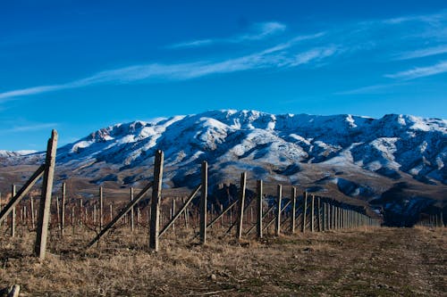 Armenien - Weinbau in der Provinz Vayots Dzor &ndash; &copy; graphics.vp - stock.adobe.com