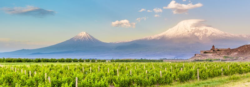 Armenien - Weinbau in der Ararat-Ebene - ©Goinyk - stock.adobe.com