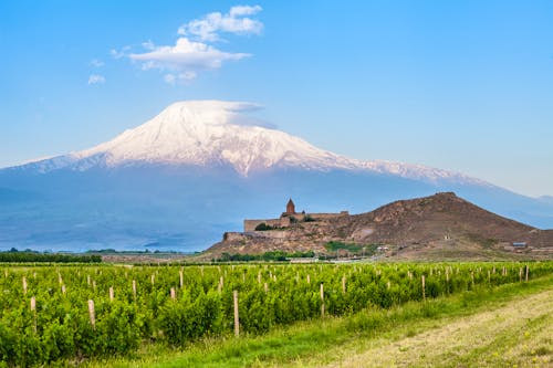 Armenien - Kloster Chor Virap and Berg Ararat &ndash; &copy; Goinyk - stock.adobe.com
