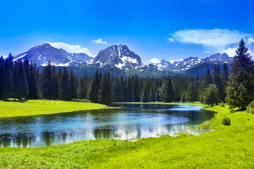 Durmitor Nationalpark in Montenegro &ndash; &copy; ©Polina Katritch - stock.adobe.com