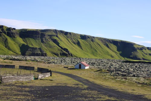 Island - an den Laki-Kratern - Lavafeld und Schaffarm &ndash; &copy; Eberhardt TRAVEL GmbH - Kristin Weigel
