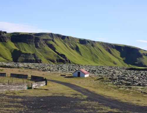 Island - an den Laki-Kratern - Lavafeld und Schaffarm – © Eberhardt TRAVEL GmbH - Kristin Weigel