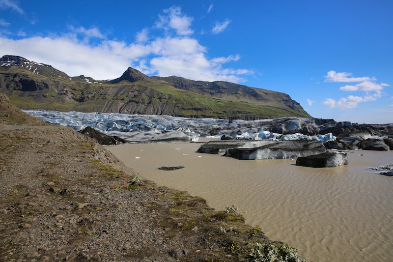 Island - Svinafellsjokull-Gletscher im Skaftafell Nationalpark - ©Benshot - stock.adobe.com