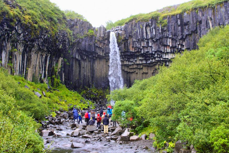 Island - Wanderung zum Svartifoss - ©Eberhardt TRAVEL GmbH - Anna Stiebing