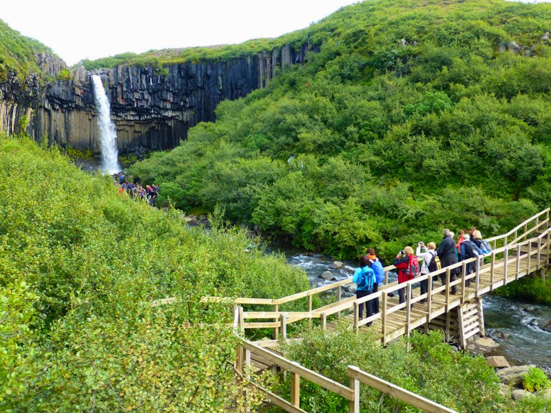 Island - Wanderung zum Svartifoss im Skaftafell-Nationalpark - ©Eberhardt TRAVEL GmbH - Kristin Weigel