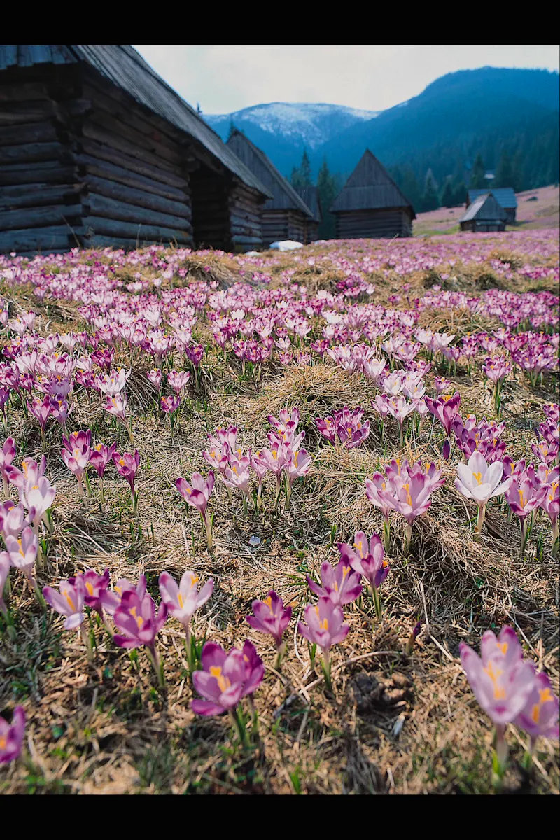 Hohe Tatra - Polen - &copy;Travel Projekt Polen
