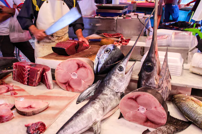 Catania - Fischmarkt - &copy;Brad Pict - stock.adobe.com