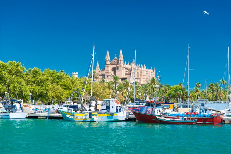 Kathedrale in Palma de Mallorca  - ©©Wolfgang Jargstorff - stock.adobe.com