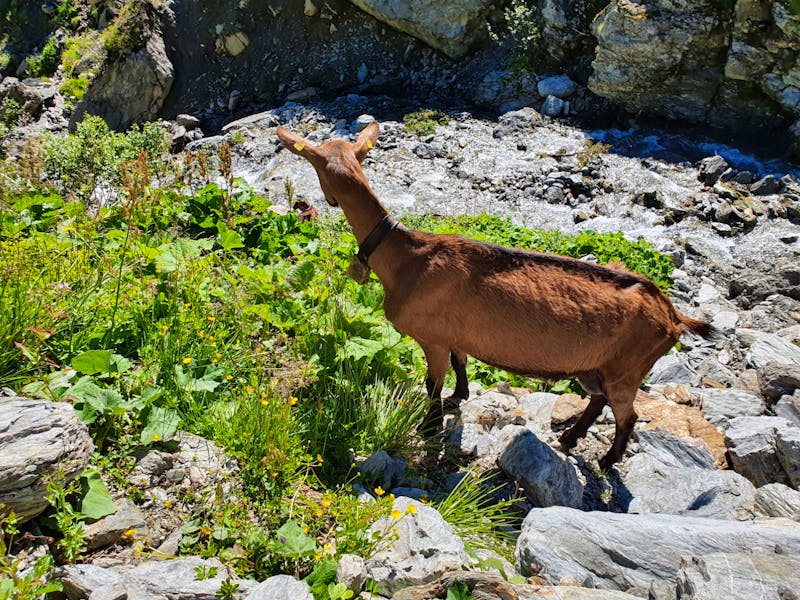 Wanderung von Hochfügen nach Mayrhofen - ©Eberhardt TRAVEL - Ria Heilmann