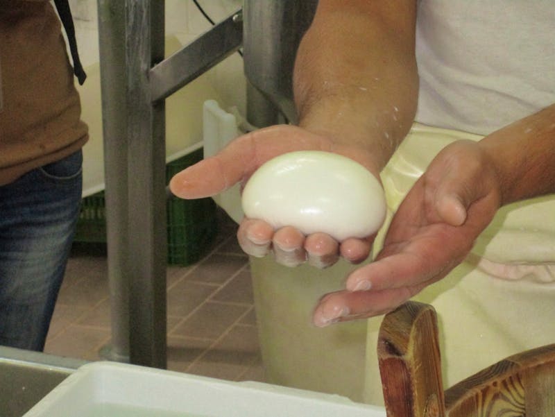 Mozzarella Herstellung in Italien - ©Eberhardt TRAVEL - Silvia Buske