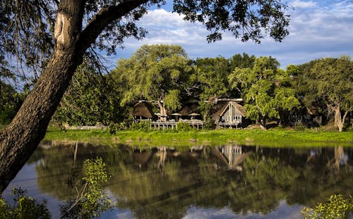 Simbavati River Lodge - Timbavati &ndash; &copy; Simbavati Lodges