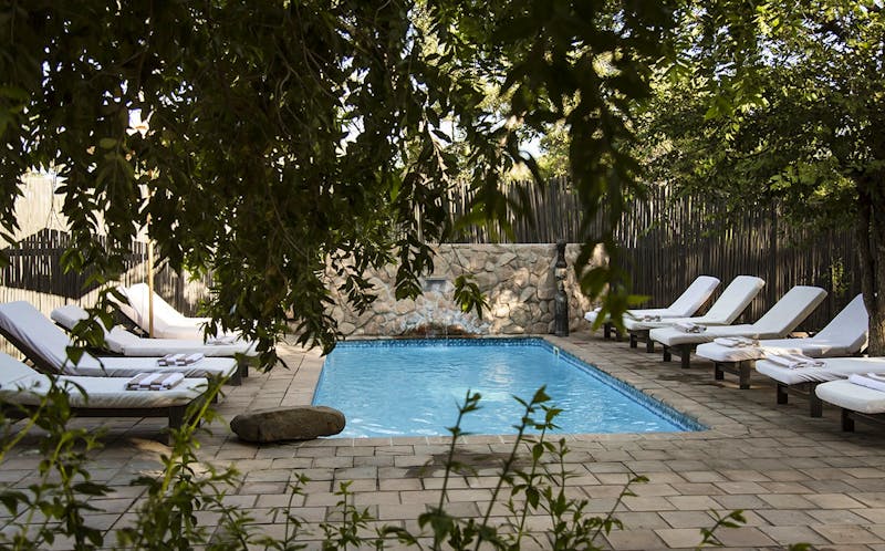 Simbavati River Lodge - Timbavati - ©Simbavati Lodges