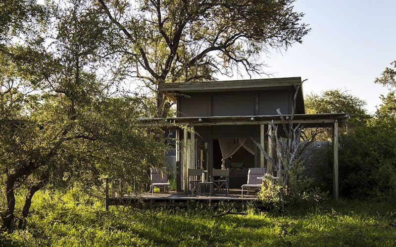 Simbavati River Lodge - Luxus Safarizelt - ©Simbavati Lodges