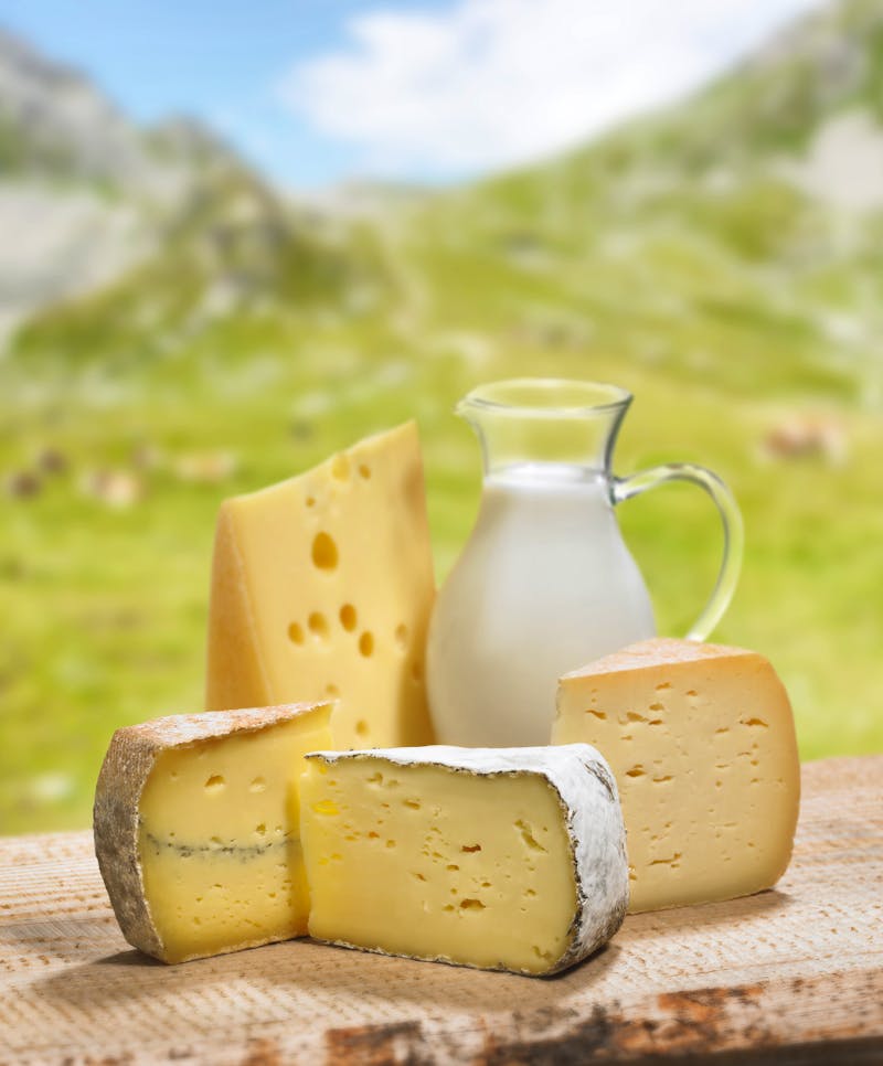 Käse und Milch - frischer geht es nicht ... - ©cut - stock.adobe.com