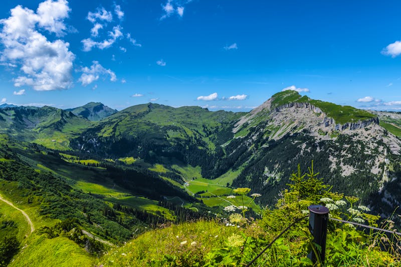 Blick vom Walmendinger Horn zum Ifen Plateau - ©consultdm15 - stock.adobe.com