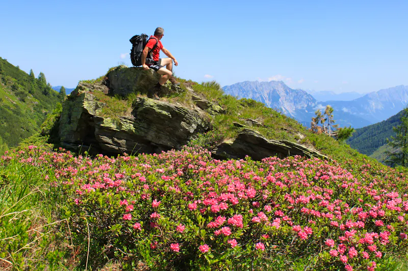 Am Hauser Kaibling - &copy;hofi777 - stock.adobe.com