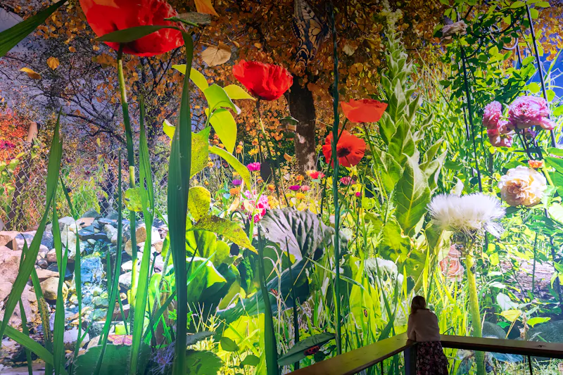 Blick vom Besucherturm auf CAROLAS GARTEN - &copy;Tom Schulze asisi