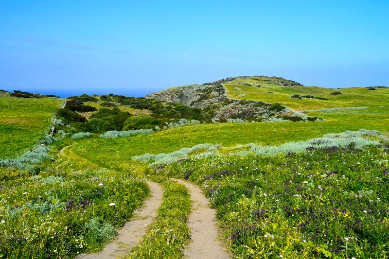 Wanderung auf dem Sentiero della Nurra - ©©Rodolfo - stock.adobe.com
