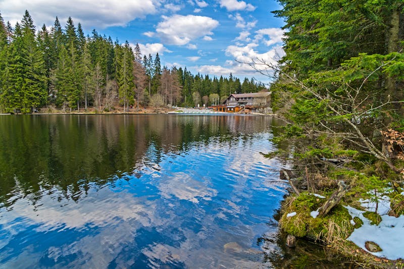 Großer Arbersee im Bayerischen Wald - ©Andreas Vonzin - Adobe Stock
