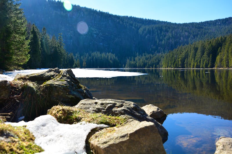 Großer Arbersee im Bayerischen Wald - ©©GrebnerFotografie - stock.adobe.com