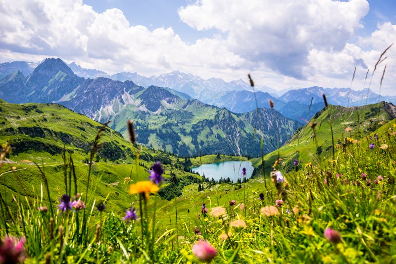 Seealpsee in den Allgäuer Bergen - ©Basti Heckl - stock.adobe.com