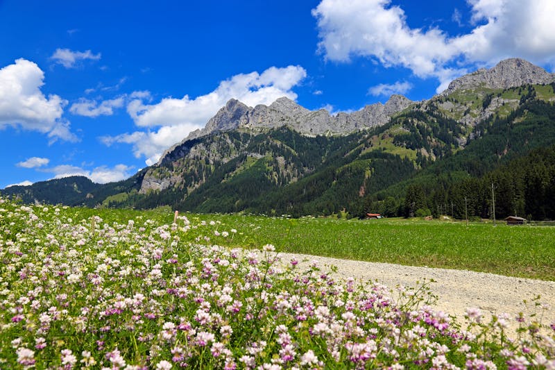 Im Tannheimer Tal - ©railfan - stock.adobe.com