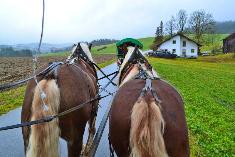Pferdekutschfahrt beim Michlbauer im Bayerischen Wald - ©Eberhardt TRAVEL - Andreas Wolfsteller