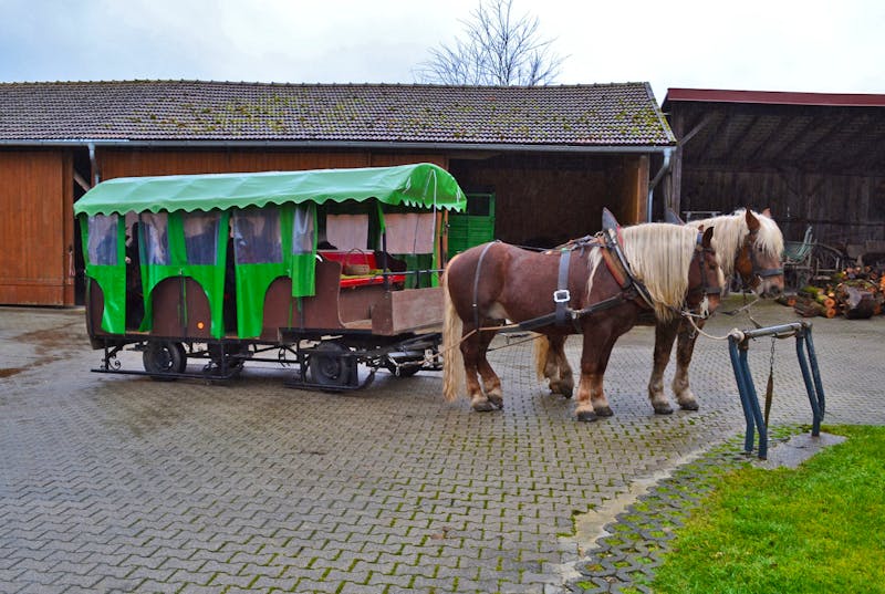 Pferdekutschfahrt beim Michlbauer im Bayerischen Wald - ©Eberhardt TRAVEL - Andreas Wolfsteller
