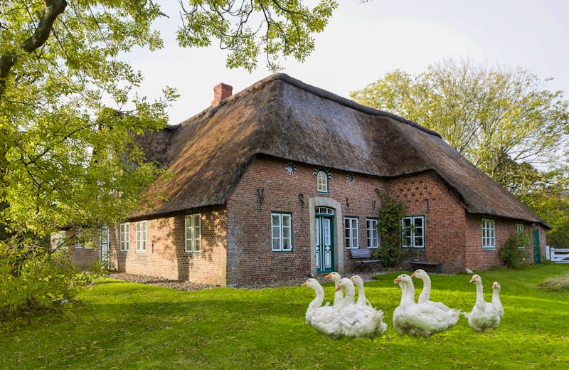 Friesenhaus in Keitum auf der Nordsee-Insel Sylt - ©©Blickfang - stock.adobe.com