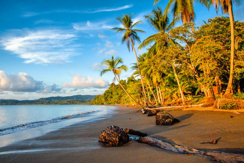 Strand an der Drake Bay in Costa Rica - ©©Louis-Michel DESERT - stock.adobe.com