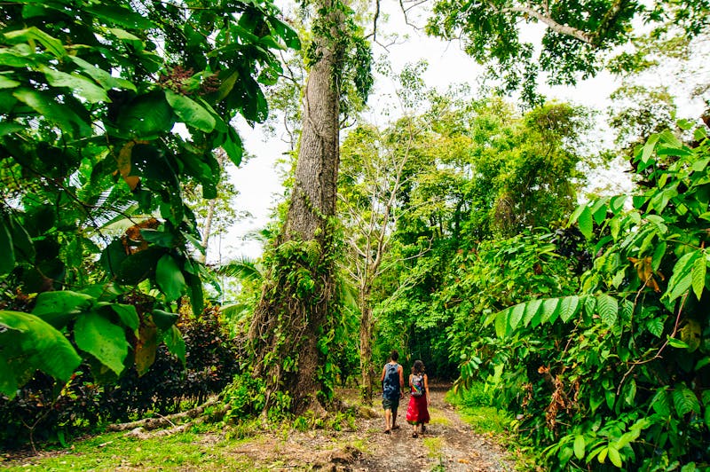 Corcovado-Nationalpark in Costa Rica - ©©IBRESTER - stock.adobe.com