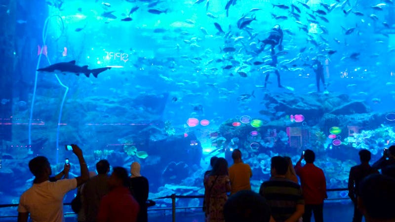 Aquarium in der Dubai Mall - ©Eberhardt TRAVEL - Frank Nimschowski