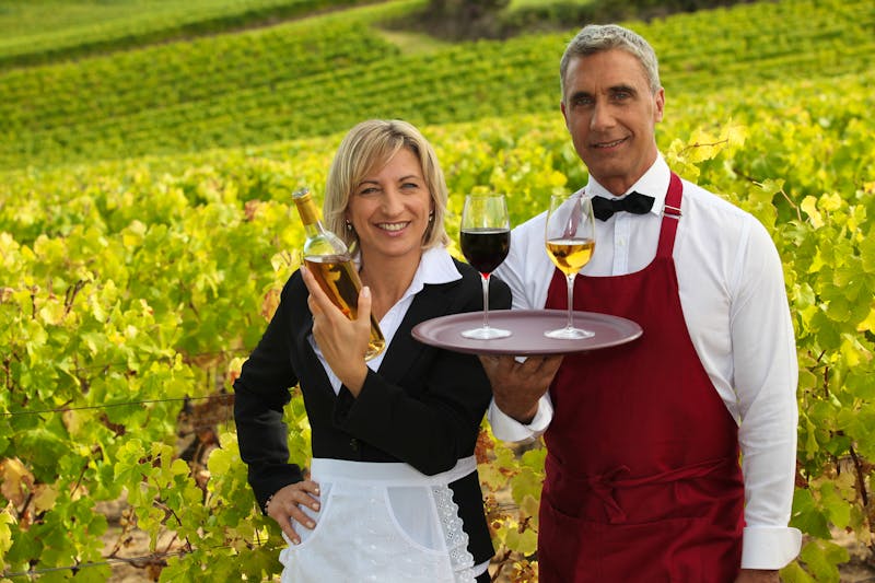 Weinprobe bei einem Winzer in Frankreich - ©©auremar - stock.adobe.com