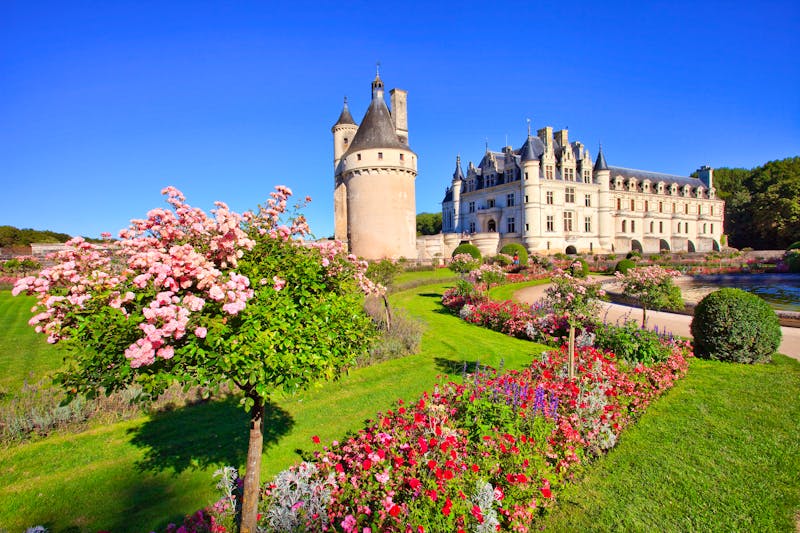 Schloss Chenonceau an de Loire - Gartenanlage mit Rosenstöcken - ©©aterrom - stock.adobe.com