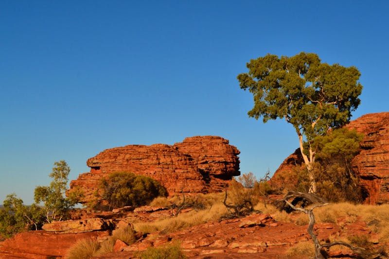 Wanderung zum Sonnenaufgang im Kings Canyon - ©Andreas Wolfsteller