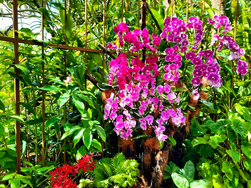 Singapur - ©Franziska Bergmann